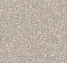 Loymina A La Prima PM7 002/2